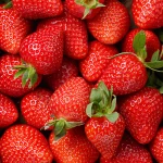 BPT-Articles-fraises-quebec-tinyjpg-2